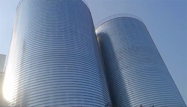 察布查尔2座混凝土高架卷板仓